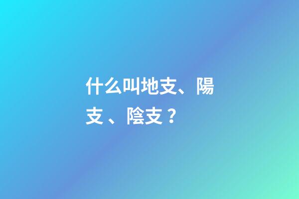 什么叫地支、陽支、陰支？